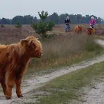 Отель Kapellerput Heeze-eindhoven 4*