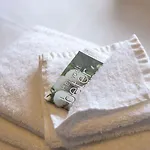 Kapellerput Heeze-eindhoven Hotel 4*