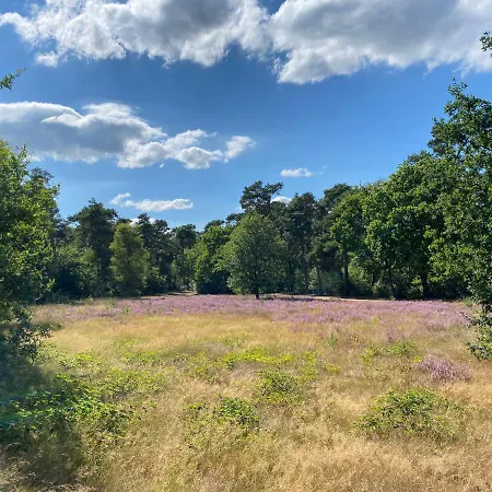 Kapellerput Heeze-eindhoven Hotel 4*