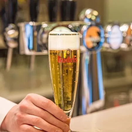 Kapellerput Heeze-eindhoven 4* Heeze