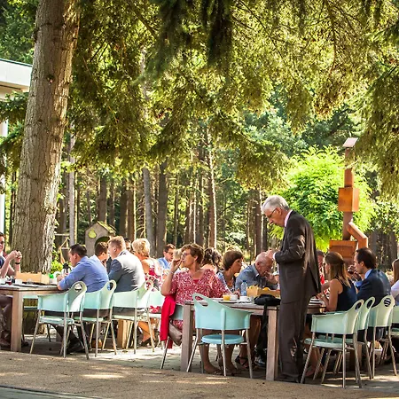 Kapellerput Heeze-eindhoven 4* Heeze