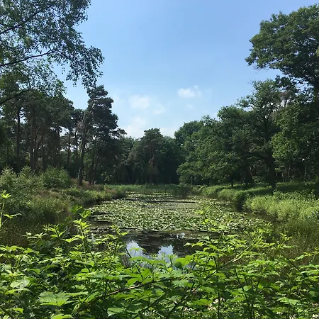 Kapellerput Heeze-eindhoven ホテル 4*