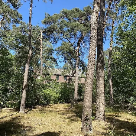 Kapellerput Heeze-eindhoven 4* Heeze