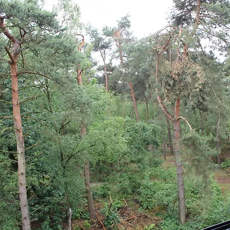 Kapellerput Heeze-eindhoven 4*