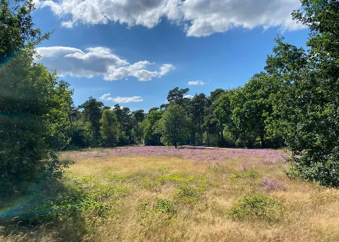 Kapellerput Heeze-eindhoven Hotell 4*