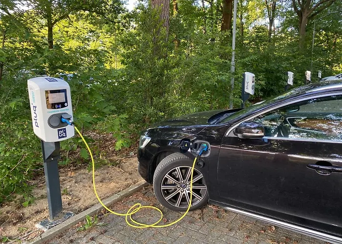 Kapellerput Heeze-eindhoven 黑泽