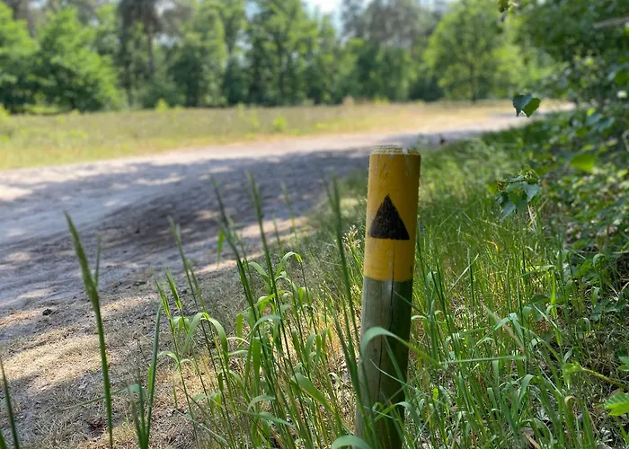 Kapellerput Heeze-eindhoven 4* 黑泽