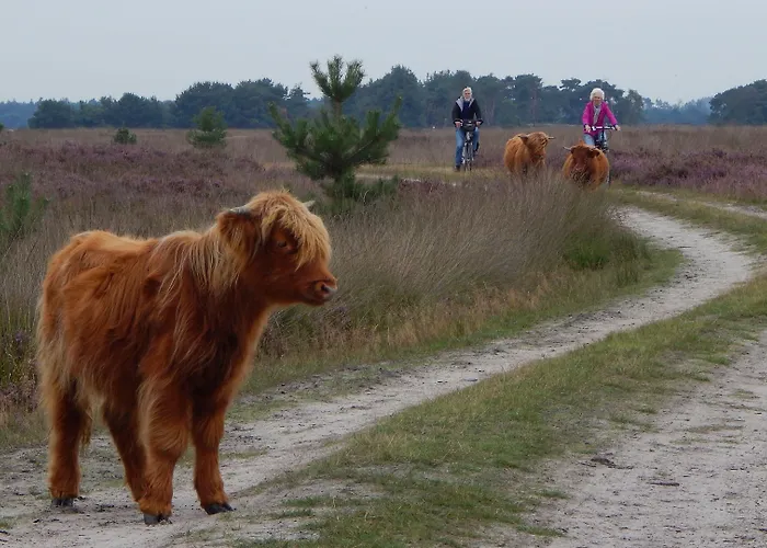 酒店 Kapellerput Heeze-eindhoven 4*