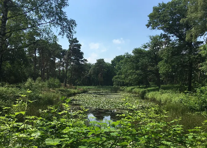 Kapellerput Heeze-eindhoven 酒店 4*