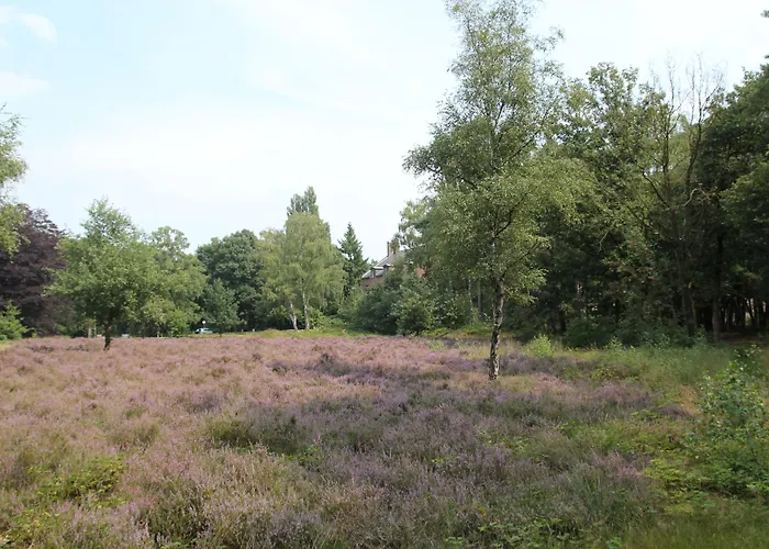 Kapellerput Heeze-eindhoven