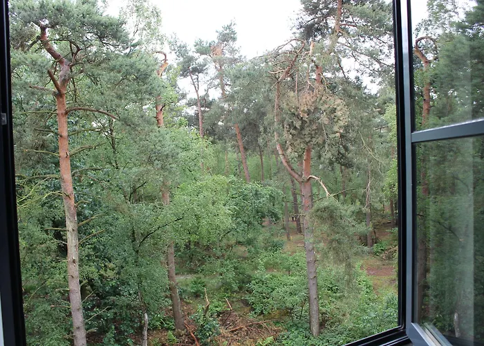 Kapellerput Heeze-eindhoven