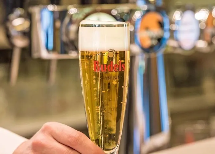 Kapellerput Heeze-eindhoven 4* ヘーゼ