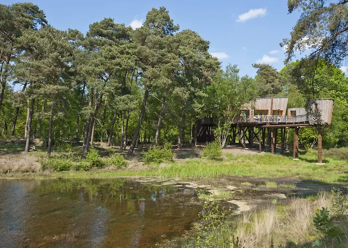 Kapellerput Heeze-eindhoven