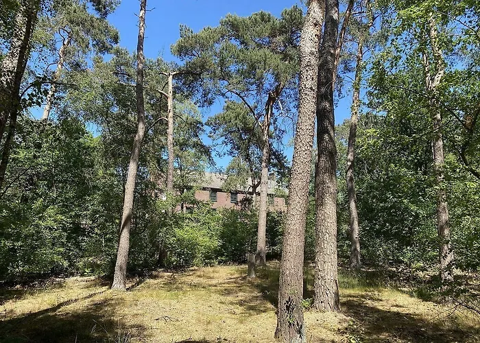 Kapellerput Heeze-eindhoven 4* Хезе