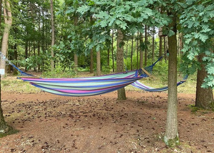 Отель Kapellerput Heeze-eindhoven 4*