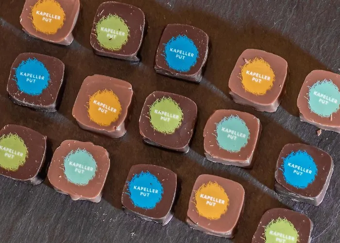 Kapellerput Heeze-eindhoven 4*